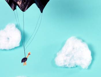 STEAM: Make a Parachuting Ostrich