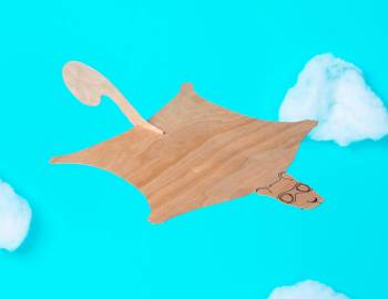 STEAM: Make a Flying Squirrel Glider