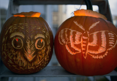 Courtney Cerruti teaches this class with techniques from printmaking to create carved pumpkin designs. You’ll have DIY Halloween ideas for silhouettes, glitter for your DIY Halloween party decorations. 